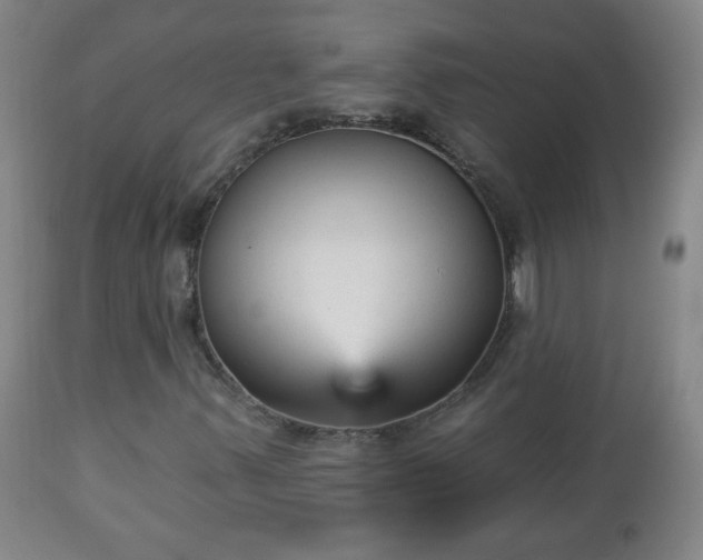 X0000112961347200909031012