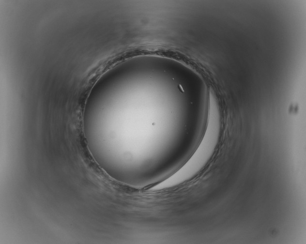 X0000112961349200909031012