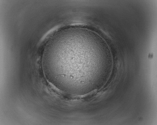 X0000112961351200909031012