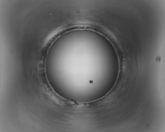 X0000112961352200909031012