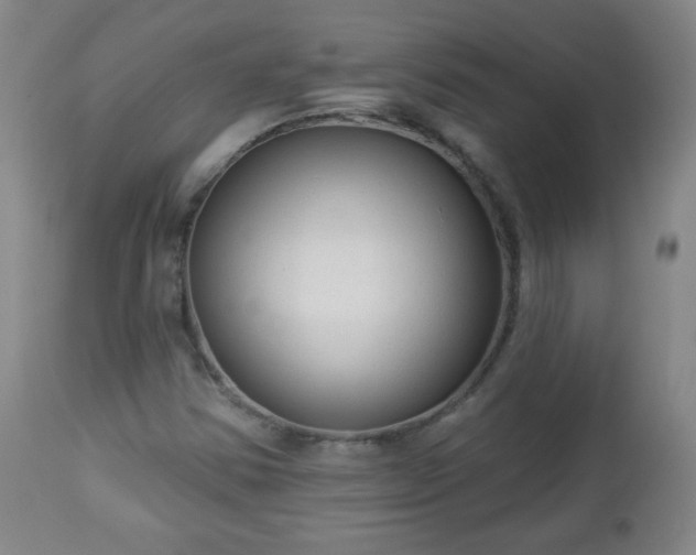 X0000112961354200909031012