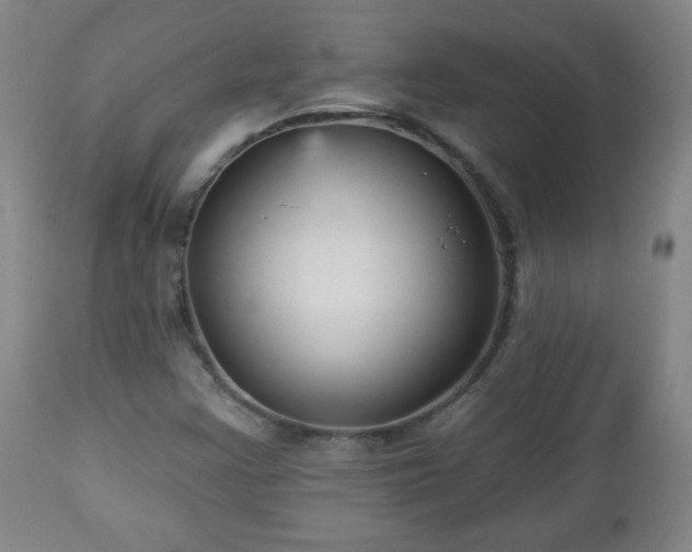 X0000112961355200909031011