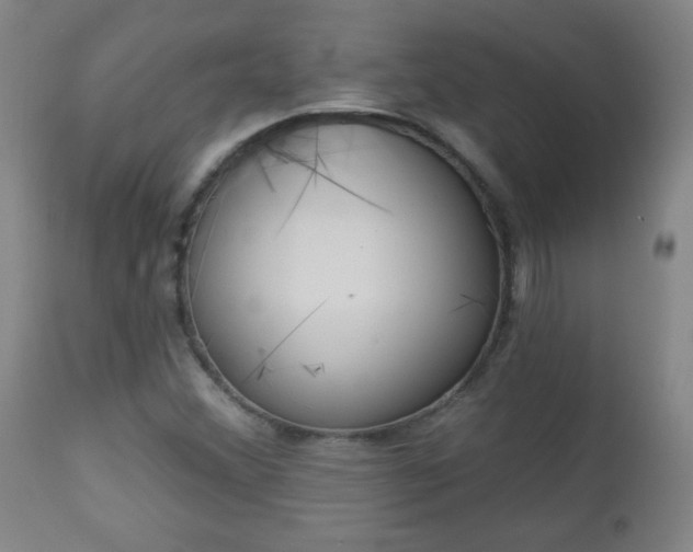 X0000112961356200909031011