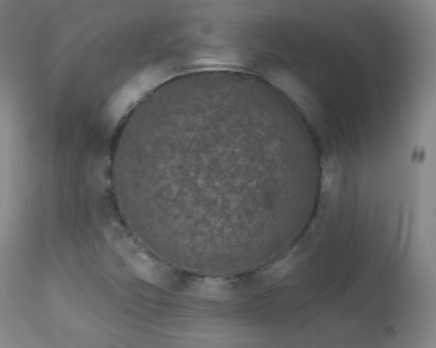 X0000112961357200909031011