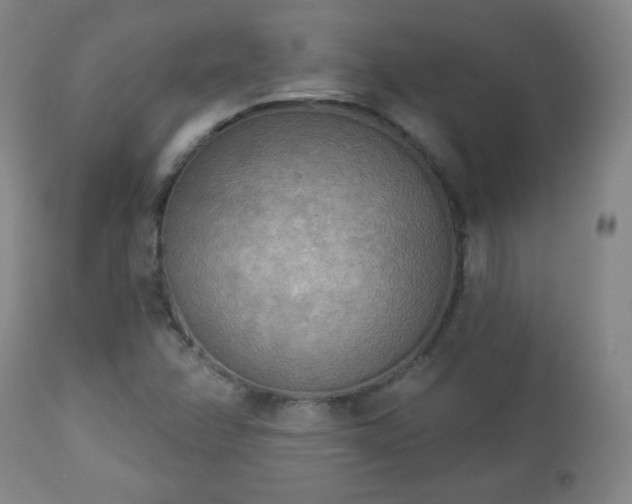 X0000112961358200909031011