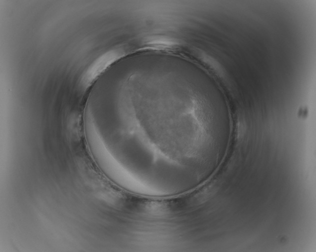 X0000112961362200909031011