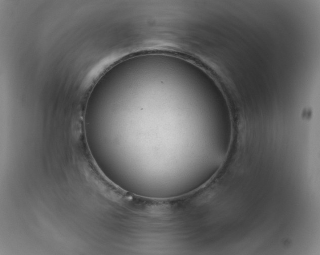 X0000112961363200909031011