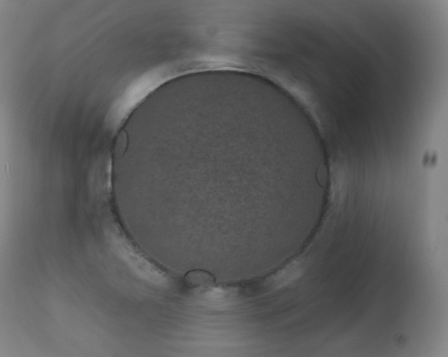 X0000112961365200909031011