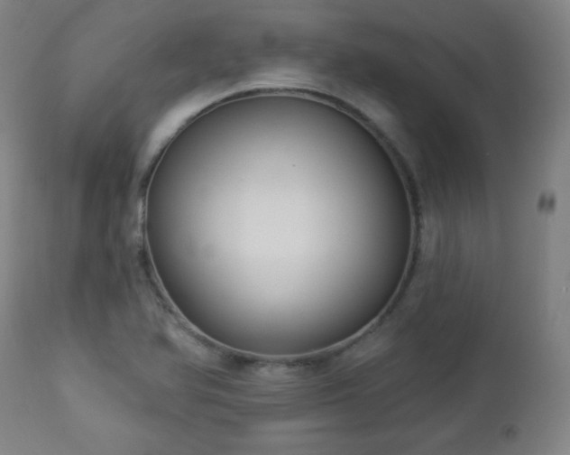 X0000112961366200909031011