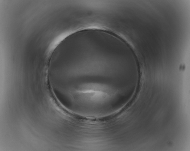 X0000112961367200909031011