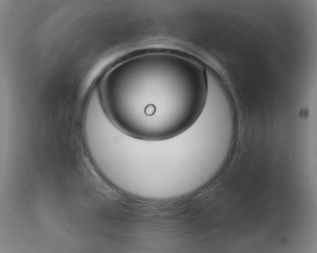 X0000112961368200909031011