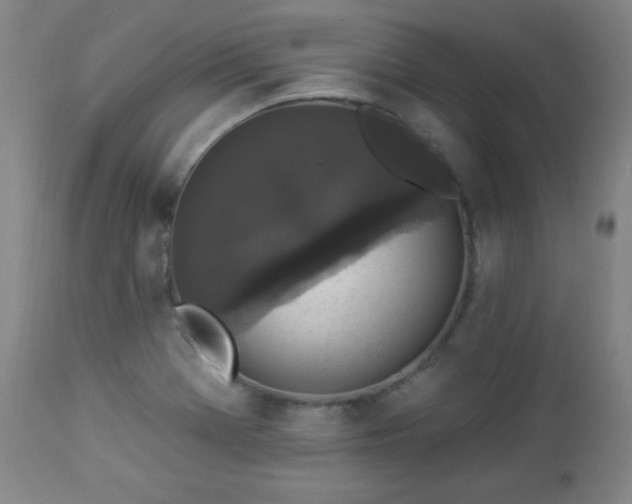 X0000112961369200909031011