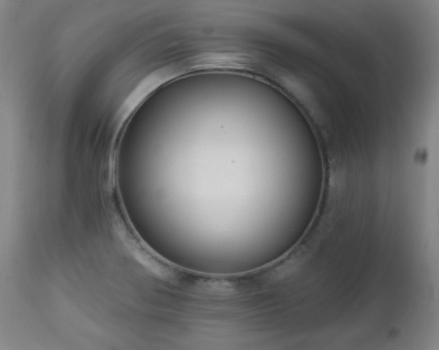 X0000112961370200909031011