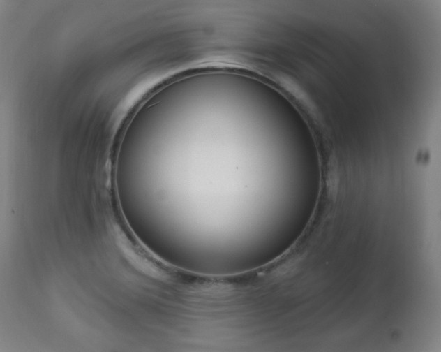 X0000112961372200909031011