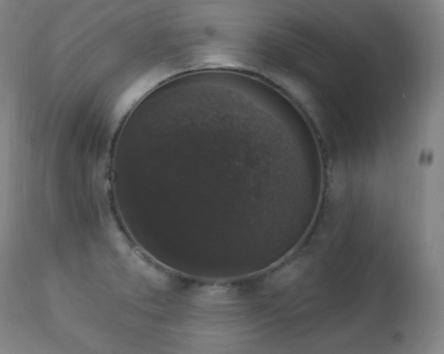 X0000112961373200909031011