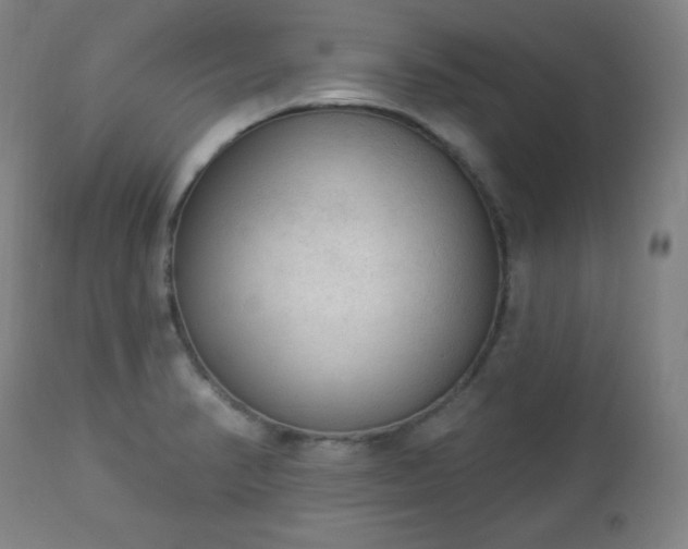 X0000112961374200909031011