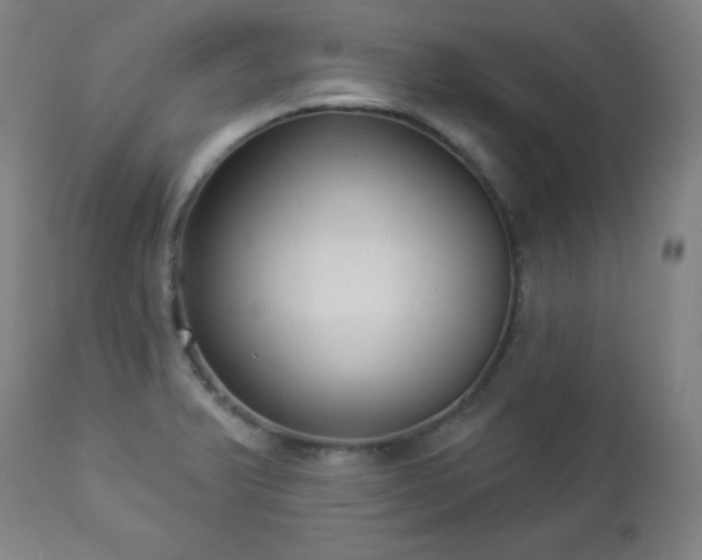 X0000112961375200909031011