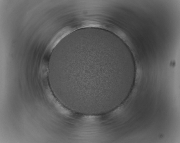 X0000112961377200909031011