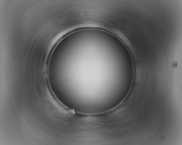 X0000112961380200909031011