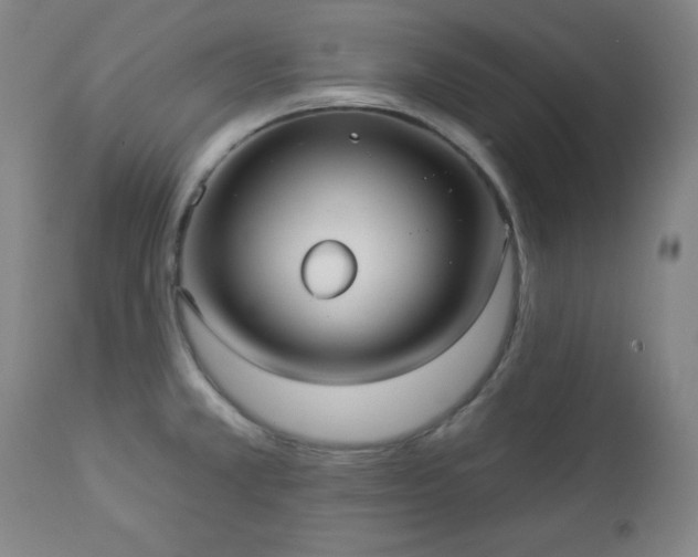 X0000112961381200909031011