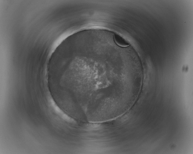 X0000112961382200909031011