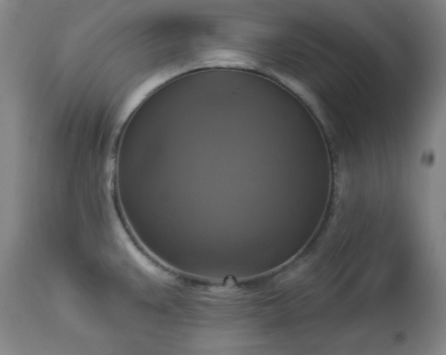 X0000112961383200909031011