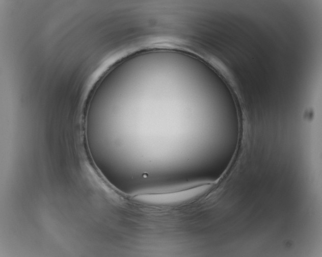 X0000112961384200909031011