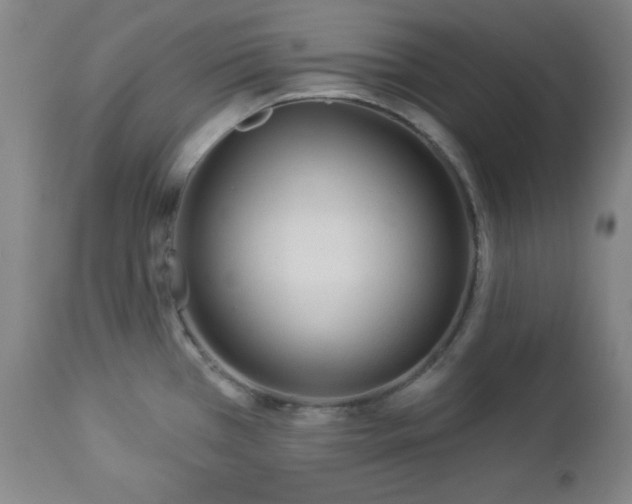 X0000112961385200909031011