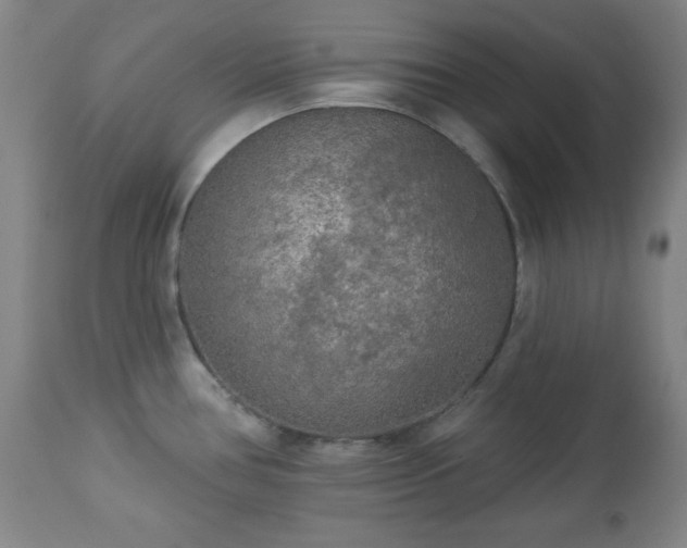 X0000112961386200909031011