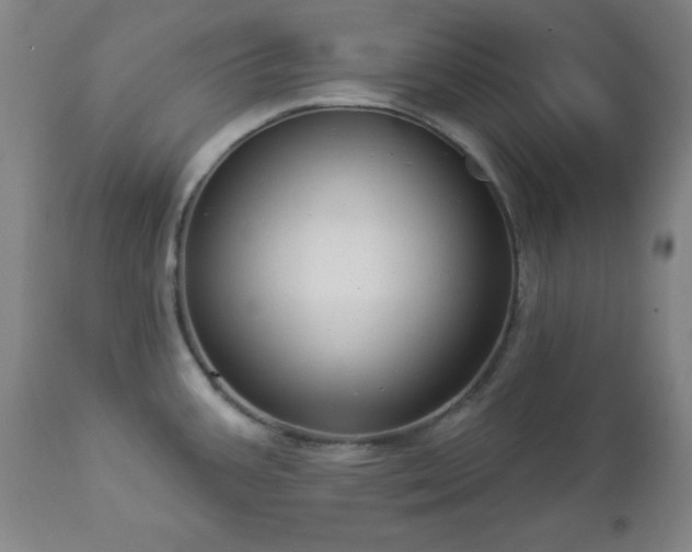 X0000112961387200909031011