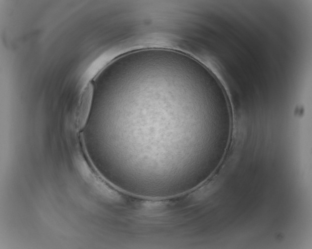 X0000112961389200909031011