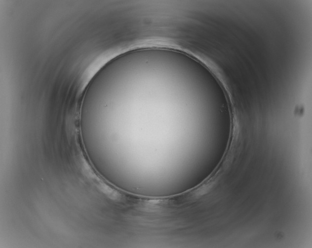 X0000112961390200909031011