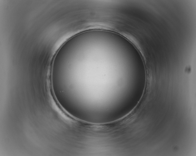 X0000112961391200909031011