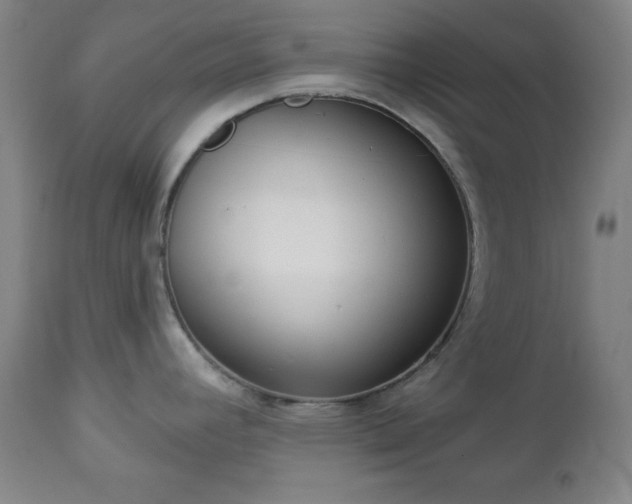 X0000112961392200909031011