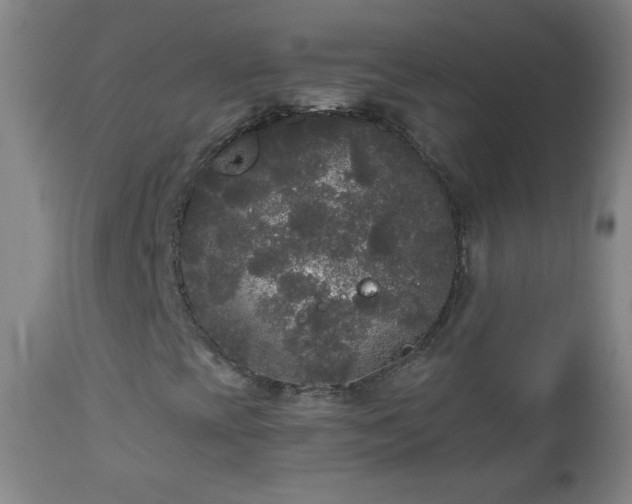 X0000112961393200909031010