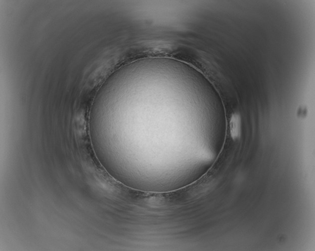 X0000112961395200909031010