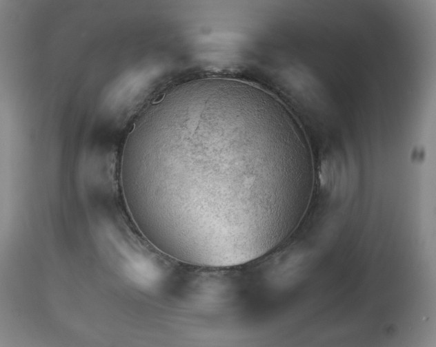 X0000112961396200909031010