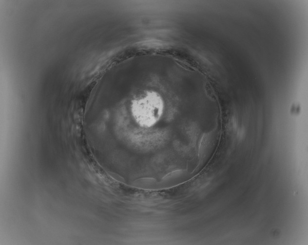 X0000112961397200909031010