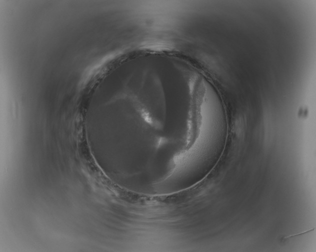 X0000112961398200909031010