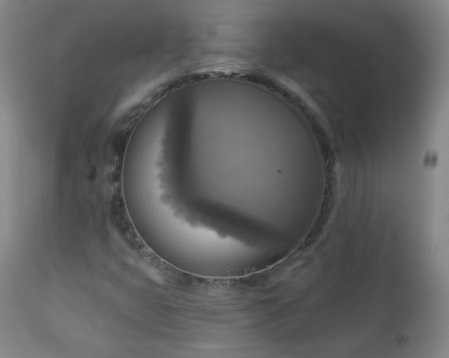 X0000112961399200909031010