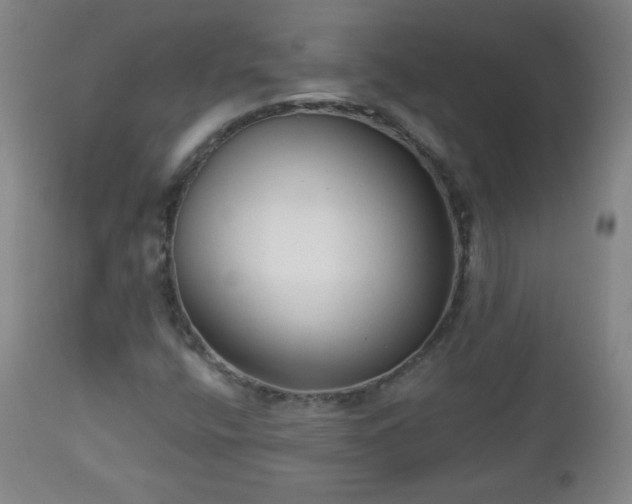 X0000112961400200909031010