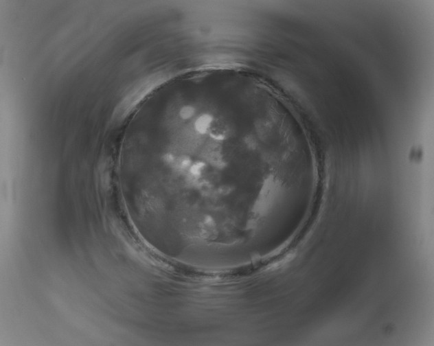 X0000112961401200909031010