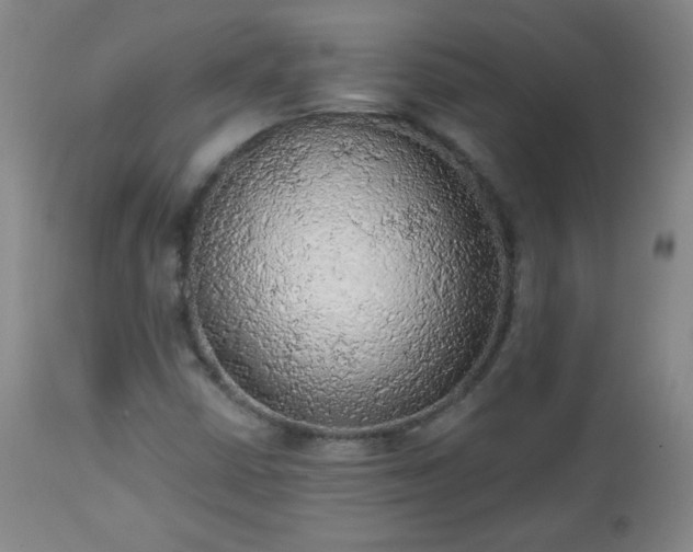 X0000112961402200909031010