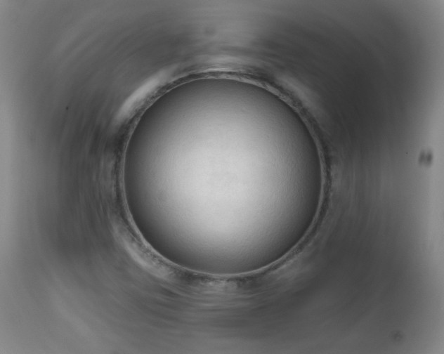 X0000112961403200909031010