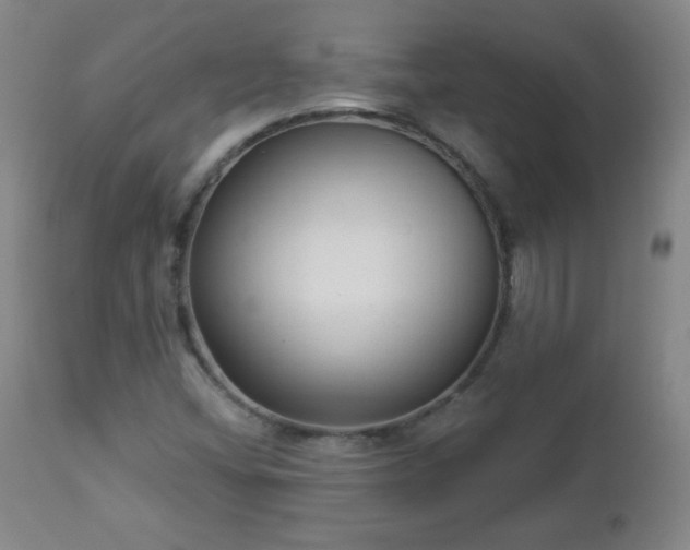 X0000112961404200909031010