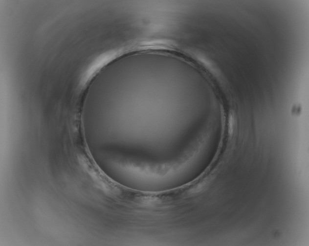 X0000112961405200909031010