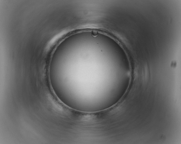 X0000112961406200909031010