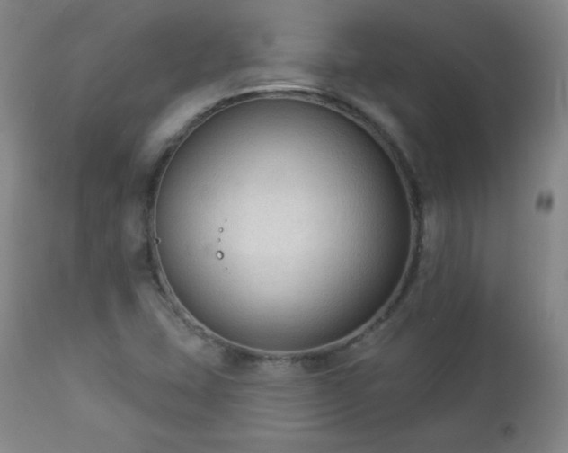 X0000112961407200909031010