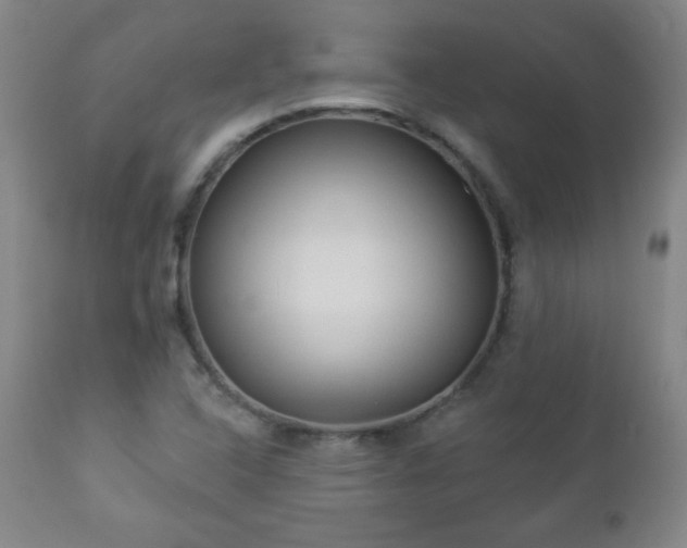 X0000112961408200909031010