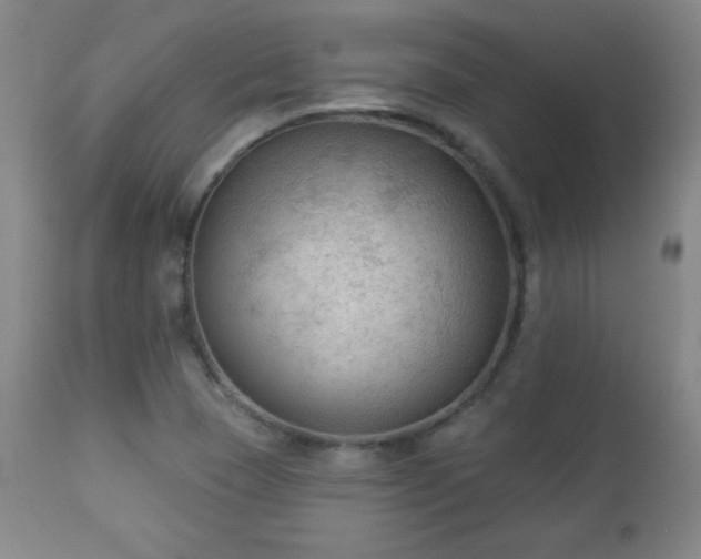 X0000112961409200909031010